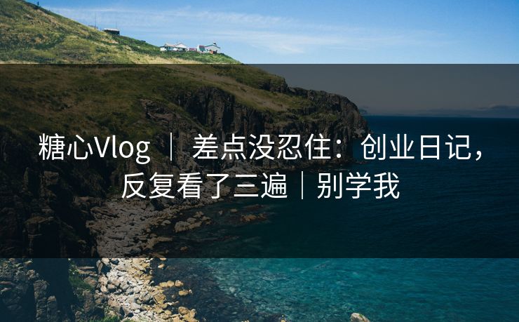 糖心Vlog ｜ 差点没忍住：创业日记，反复看了三遍｜别学我