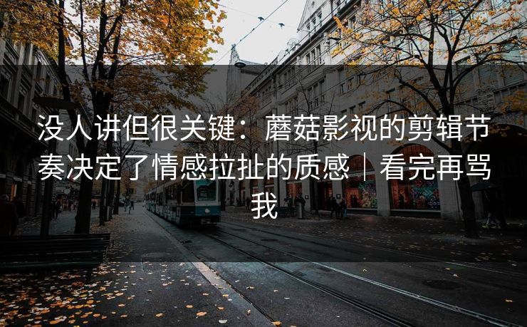 没人讲但很关键：蘑菇影视的剪辑节奏决定了情感拉扯的质感｜看完再骂我