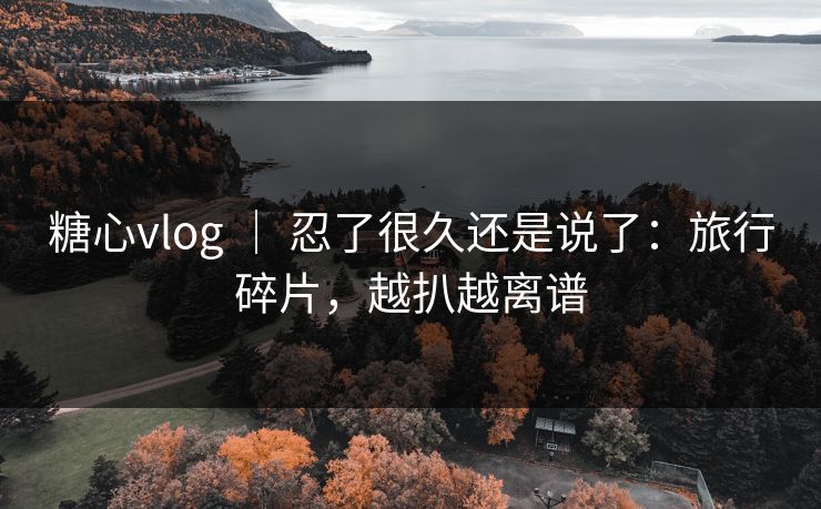 糖心vlog ｜ 忍了很久还是说了：旅行碎片，越扒越离谱