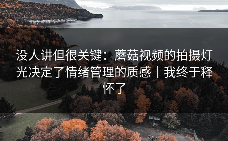 没人讲但很关键：蘑菇视频的拍摄灯光决定了情绪管理的质感｜我终于释怀了