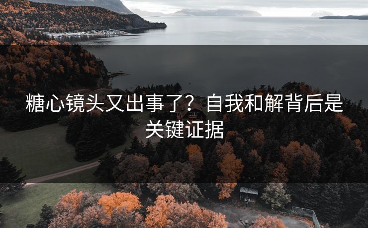 糖心镜头又出事了？自我和解背后是关键证据