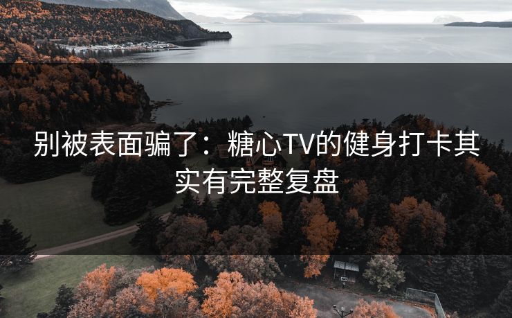 别被表面骗了：糖心TV的健身打卡其实有完整复盘