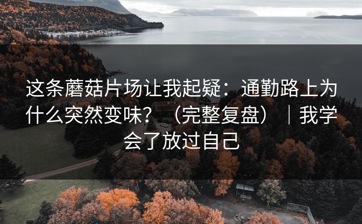 这条蘑菇片场让我起疑：通勤路上为什么突然变味？（完整复盘）｜我学会了放过自己
