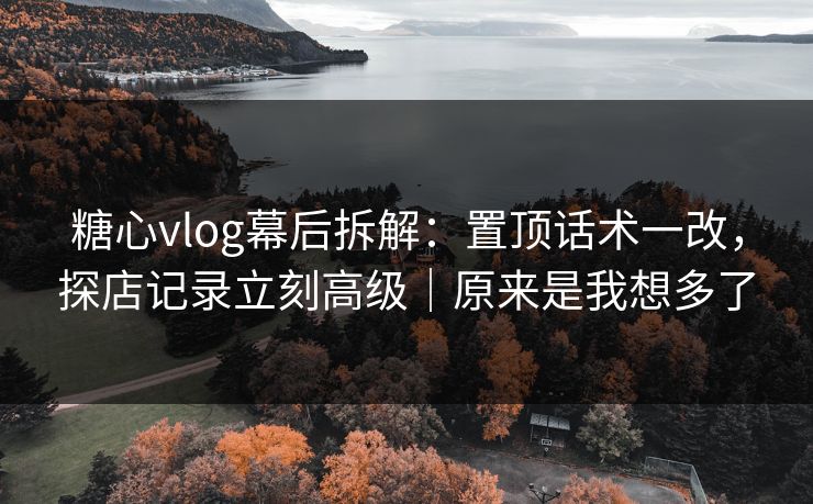 糖心vlog幕后拆解：置顶话术一改，探店记录立刻高级｜原来是我想多了