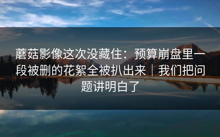 蘑菇影像这次没藏住：预算崩盘里一段被删的花絮全被扒出来｜我们把问题讲明白了