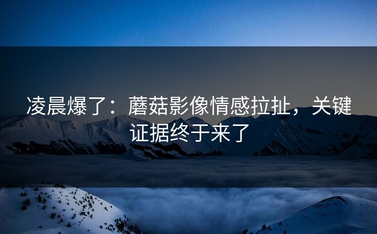 凌晨爆了：蘑菇影像情感拉扯，关键证据终于来了